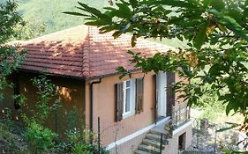 Holiday Home Serena - Cox100 By Interhome